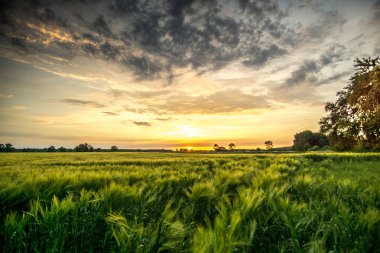 Mısır alan kara bulutlar ile gündoğumu