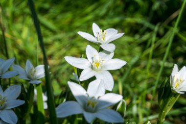 Beyaz bulutlar, güneş ışığı ile mavi gökyüzü