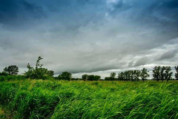 Karanlık fırtına bulutları ile yeşil çayır