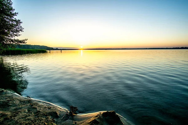 Lago con cañas al amanecer en una reserva natural — Foto de Stock