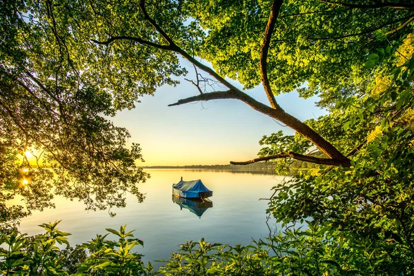 Lago con caña y velero al amanecer en una reserva natural — Foto de Stock