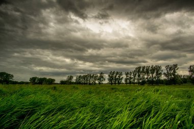 Yeşil çayır üzerinde fırtına