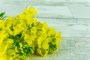 Tecavüz çiçek rustik ahşap arka plan üzerinde