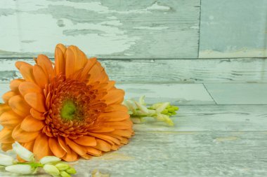 Beyaz rustik ahşap arka plan üzerinde renkli buket