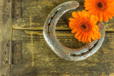 Saman ve çiçeklerle rustik ahşap arka plan üzerinde eski at nalı