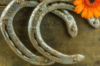 Rustik ahşap arka plan üzerinde çiçekli eski at nalı