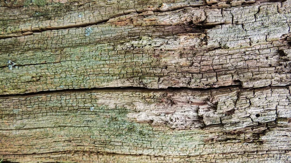 Naturlig bakgrund - gamla rustika trä — Stockfoto
