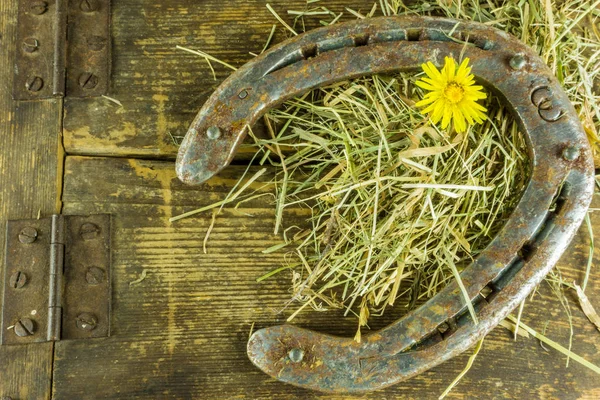 Saman ve çiçeklerle rustik ahşap arka plan üzerinde eski at nalı