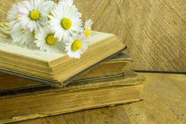 Papatya ile bir rustik ahşap tahta üzerinde eski kitap