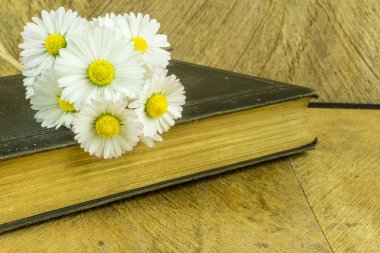 Papatya ile bir rustik ahşap tahta üzerinde eski kitap