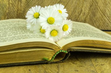 Papatya ile bir rustik ahşap tahta üzerinde eski kitap