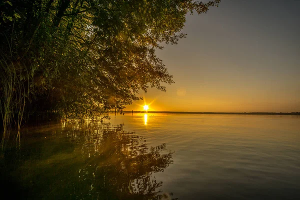 Árbol en un lago al amanecer — Foto de Stock