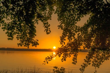 Küçük bir göl üzerinde gündoğumu, ağaçlar