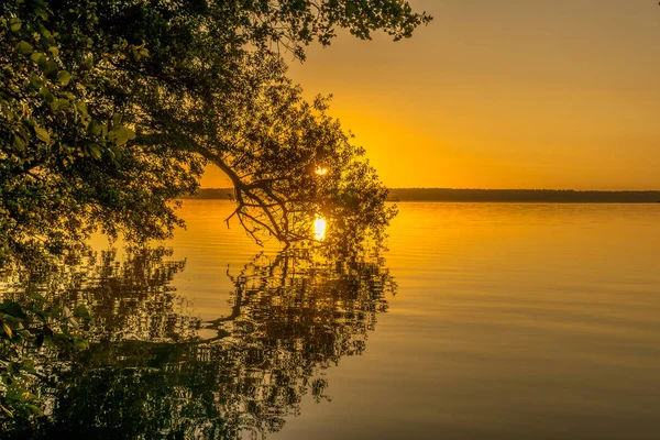 Árboles al amanecer en un pequeño lago — Foto de Stock