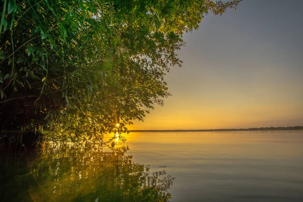 Árboles al amanecer en un pequeño lago — Foto de Stock