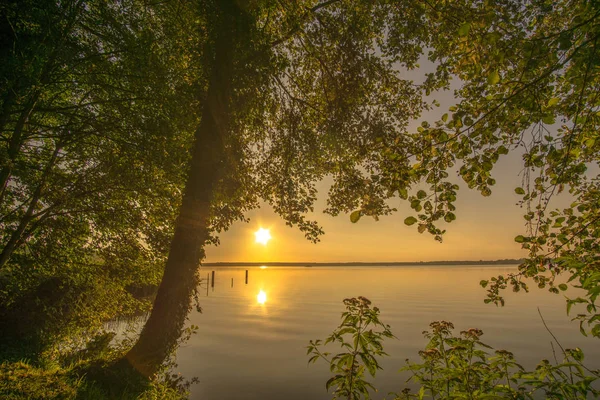 Árboles al amanecer en un pequeño lago — Foto de Stock