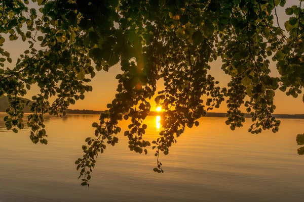 Salida del sol sobre un pequeño lago con árboles — Foto de Stock