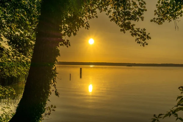 Salida del sol sobre un pequeño lago con árboles — Foto de Stock