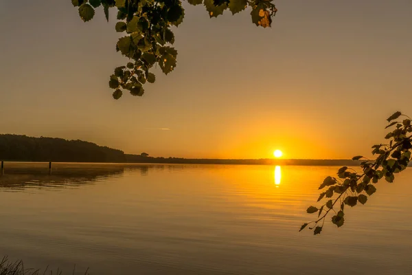 Wschód słońca nad jeziorem z liści drzew na pierwszym planie — Zdjęcie stockowe