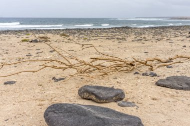 Taşlar ve mavi gökyüzü ile plaj