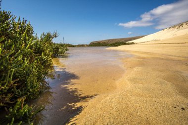 dalgalar ve taş su ile bir plajda gündoğumu