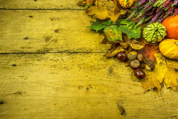 Kabak, kabak, sonbahar yaprakları ile bir rustik ahşap tahta üzerinde sonbahar dekorasyon
