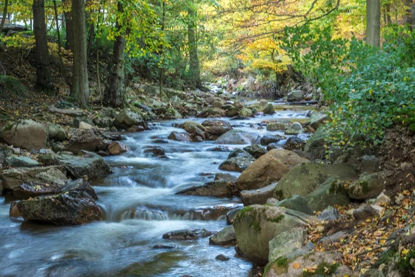 Arroyo de montaña con cascada en un bosque otoñal — Foto de Stock