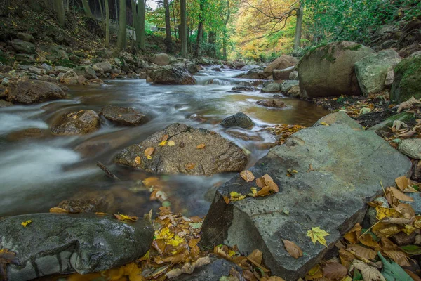 Arroyo de montaña con cascada en un bosque otoñal — Foto de Stock