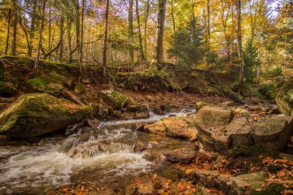 Arroyo de montaña con cascada en un bosque otoñal — Foto de Stock