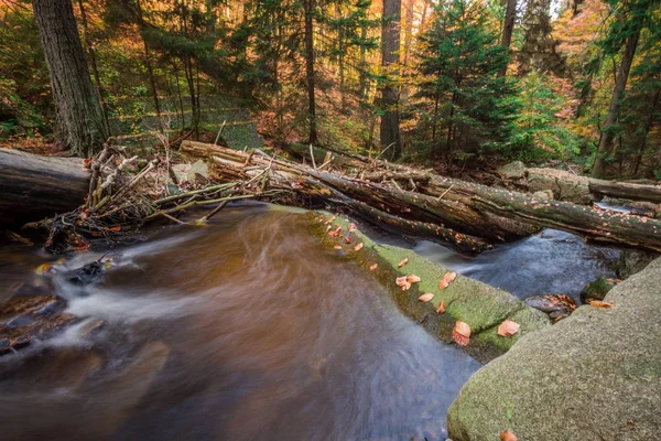 Arroyo Montaña Con Cascada Bosque Otoñal Tiempo Exposición — Foto de Stock