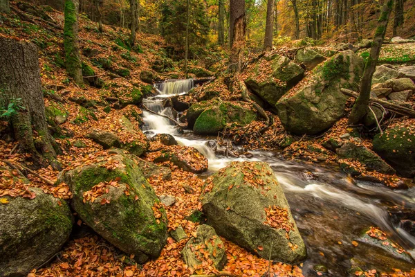 Arroyo de montaña con cascada en un bosque otoñal. tiempo de exposición — Foto de Stock