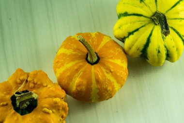 farklı renklerde birçok küçük kabak