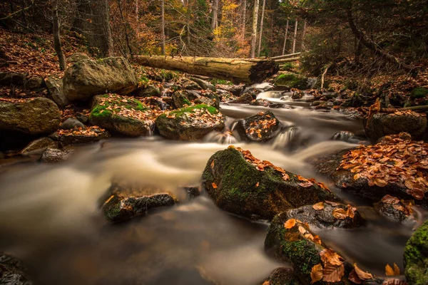 Cascada en un bosque otoñal como exposición temporal — Foto de Stock