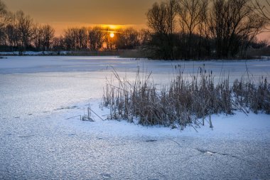 Sazlık ile günbatımında donmuş göl