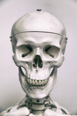 İnsan iskeleti ve tıp