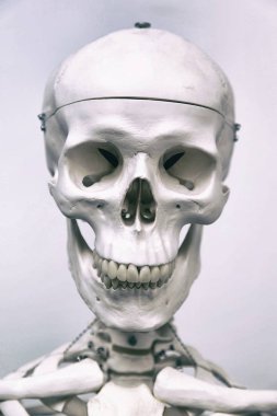 İnsan iskeleti ve tıp