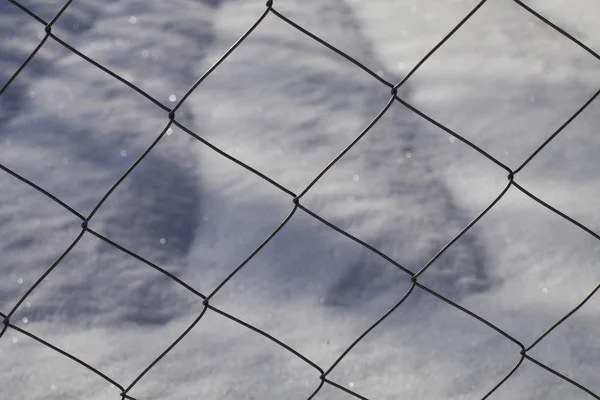 Donmuş mesh çit telleri kış arka planda — Stok fotoğraf