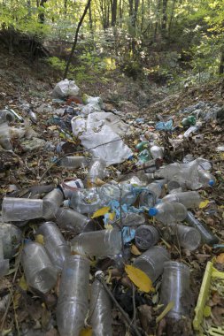 Ormandaki yabani döker