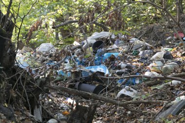 Ormandaki yabani döker