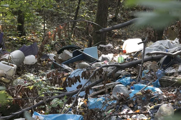 Ormandaki yabani döker