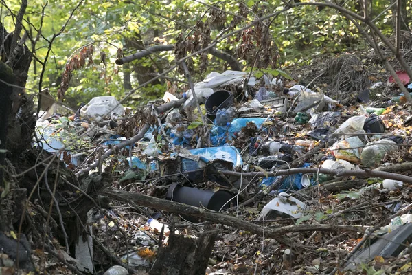 Ormandaki yabani döker