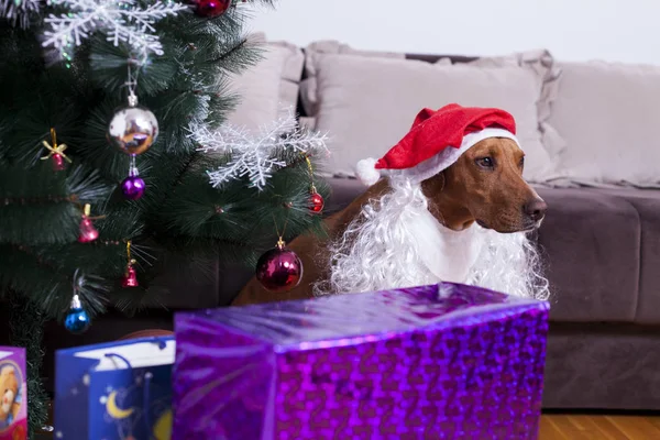 Bonne année, Noël, fêtes et célébrations — Photo