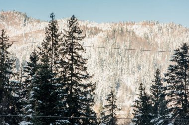 Karlı kış dağları ve donmuş karlı nehir 