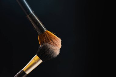 iki kozmetik fırça koyu arkaplanda izole 