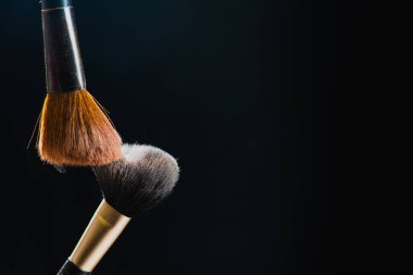 iki kozmetik fırça koyu arkaplanda izole 
