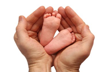 Babamın avuçlarındaki küçük bebek bacakları beyaza izole edilmiş.
