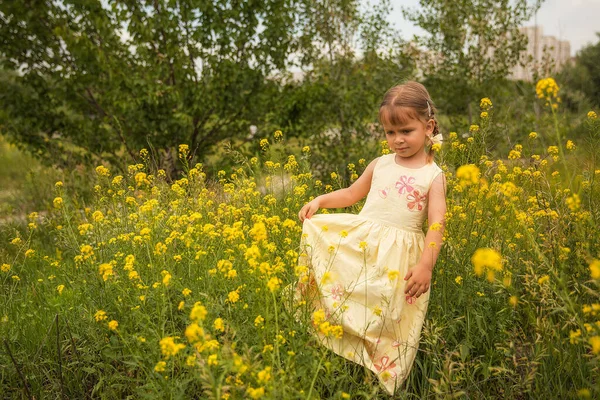 Nahaufnahme Porträt Eines Hübschen Kleinen Mädchens Auf Einer Blühenden Wiese — Stockfoto