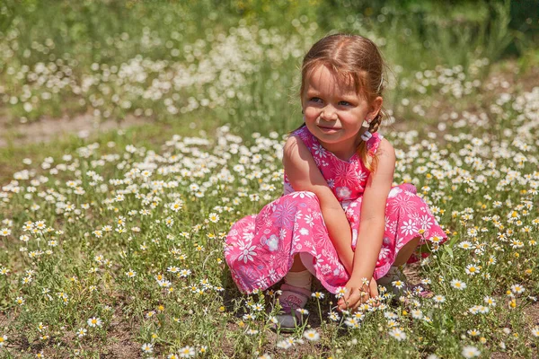 Nahaufnahme Porträt Eines Hübschen Kleinen Mädchens Inmitten Von Margeriten — Stockfoto