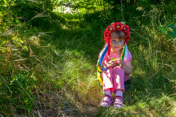Porträt Eines Kleinen Süßen Mädchens Kranz Das Auf Dem Gras — Stockfoto