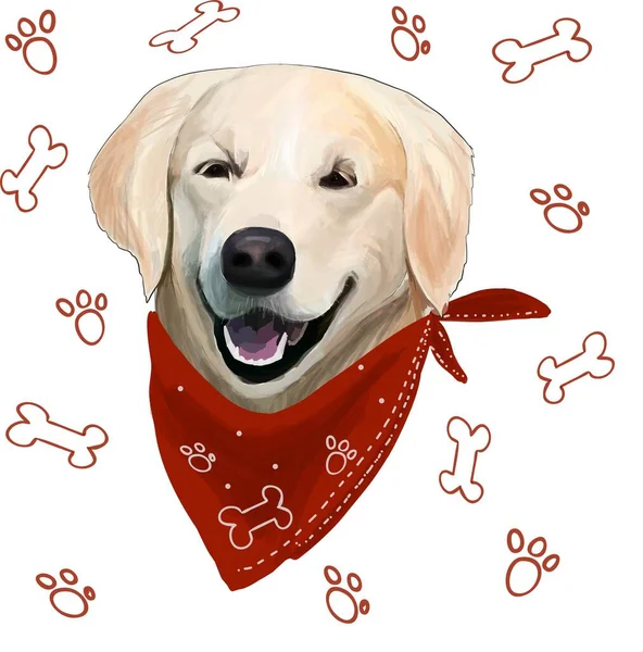 Retrato de un Golden Retriever, aislado sobre fondo blanco, vector — Archivo Imágenes Vectoriales